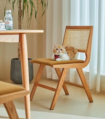 Muebles para el hogar acabado lacado silla de comedor de madera sólida con cojín y respaldo de rotín natural para muebles de diseño moderno